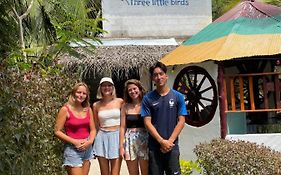 Three Little Birds
